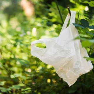 Plastic-bag Plastic-bag