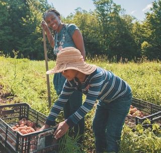 Crates-on-farm-1 Crates-on-farm-1