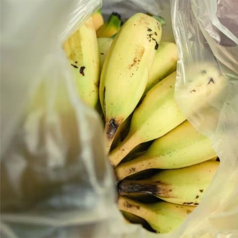 Bag-on-a-roll--bananas Bag-on-a-roll--bananas