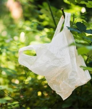 Plastic-bag-image Plastic-bag-image