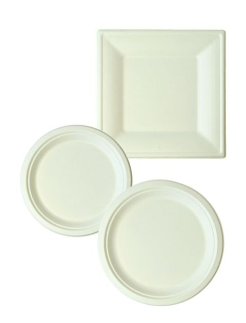 Bio-plate-square-round-white Bio-plate-square-round-white
