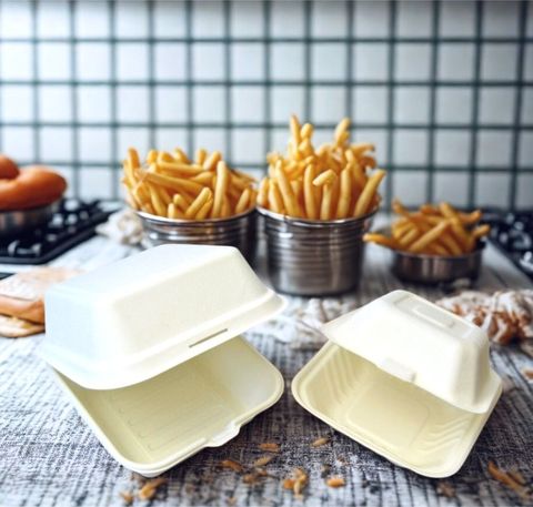 Bio-burger-box-large-medium-square Bio-burger-box-large-medium-square