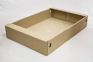 Chicken-trayweb Chicken-trayweb