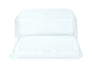 the-swiss-roll-high-dome-clear the-swiss-roll-high-dome-clear