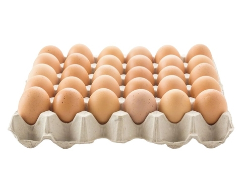 30-cell-moulded-pulp-biodegradable-egg-tray-with-eggs 30-cell-moulded-pulp-biodegradable-egg-tray-with-eggs